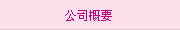 公司概要