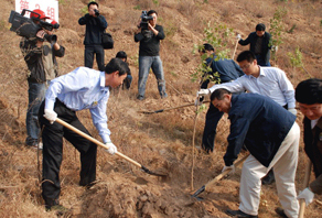 2009年煙臺(tái)店植樹(shù)活動(dòng)