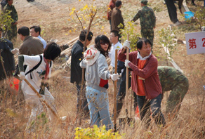 2009年煙臺(tái)店植樹(shù)活動(dòng)
