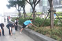 令人欣慰的是本次活動(dòng)還吸引了一些年輕的環(huán)保志愿者參加。