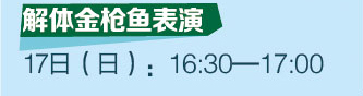 解體金槍魚(yú)表演 17日（日）：16:30-17:00