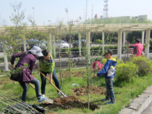 永旺煙臺(tái)購物中心2014植樹季,愛心植樹活動(dòng)