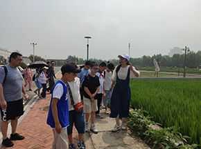 永旺七色花體驗(yàn)營—走進(jìn)海水稻研發(fā)基地 珍惜糧食做光盤行動的倡導(dǎo)者