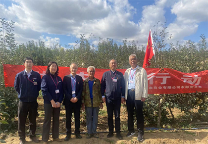 滯銷蘋果一天上餐桌 永旺超市農(nóng)超對接助民生